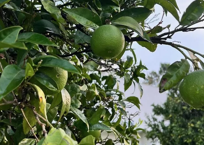 Apartamento Casa Calmavista